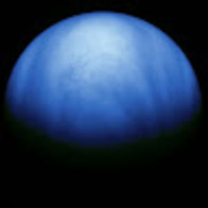 Meet your Posher, Austin